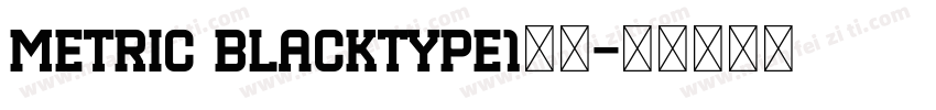 metric blacktype1西方字体转换